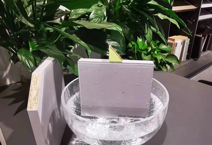 Rimless Matte 2mm Glass Front Cabinet Door (5)