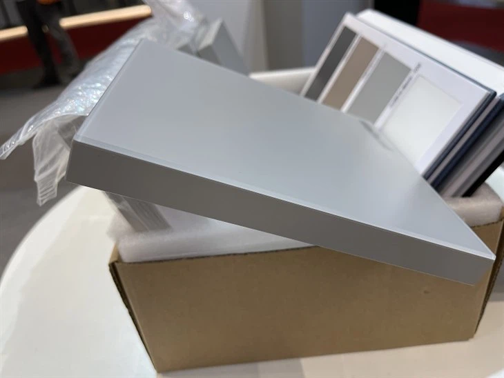 Rimless Matte 2mm Glass Front Cabinet Door (4)